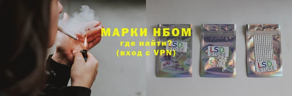 Альфа ПВП Верея