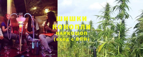 Альфа ПВП Верея