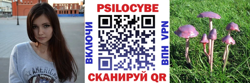 гидра tor  Кола  Псилоцибиновые грибы прущие грибы 