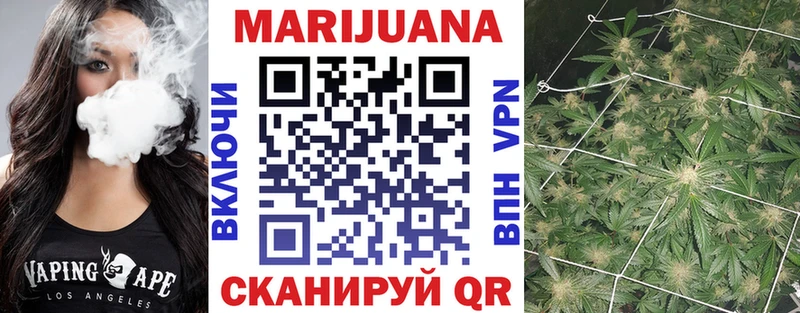 Бошки марихуана сатива где продают Кола
